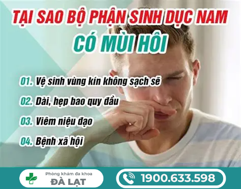 Hình ảnh minh họa